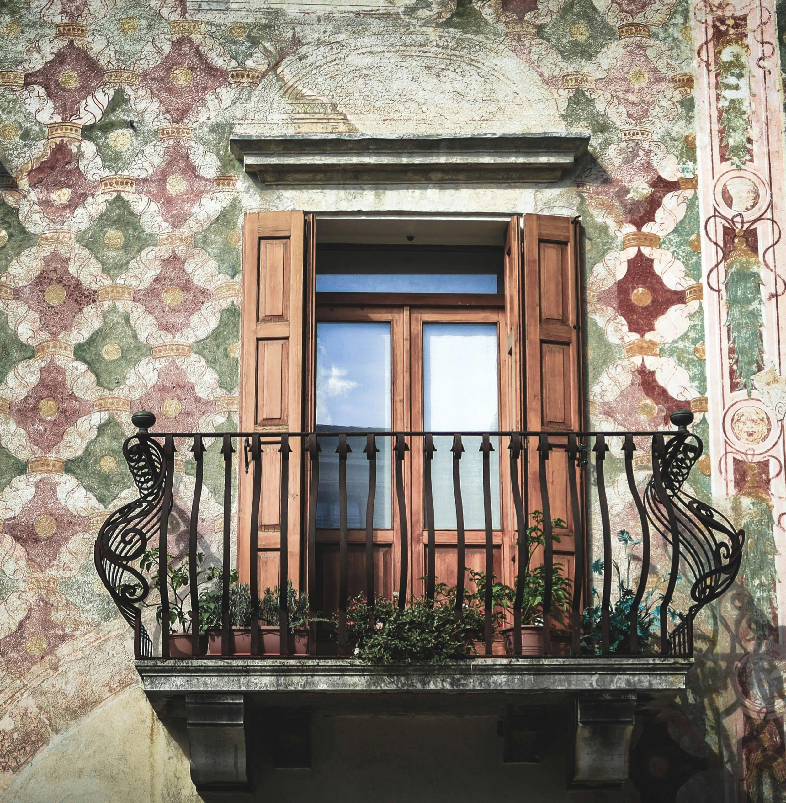 Kako posaditi zelišča na balkonu?